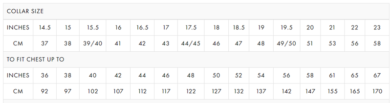 D2 Paradigm Classic Long Sleeve Shirt Blue SLS8510/E -5